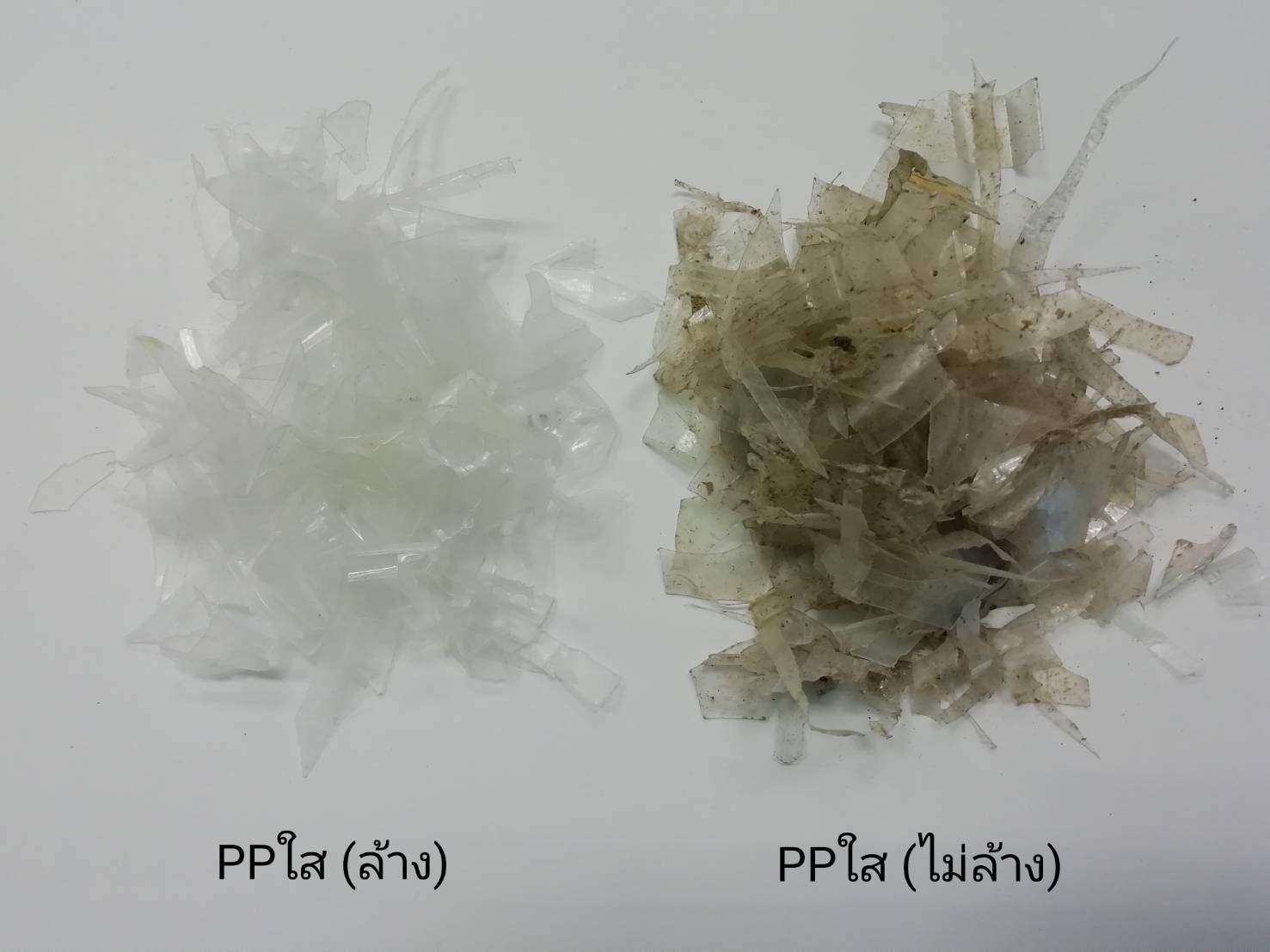 เกล็ดโม่ PPใส