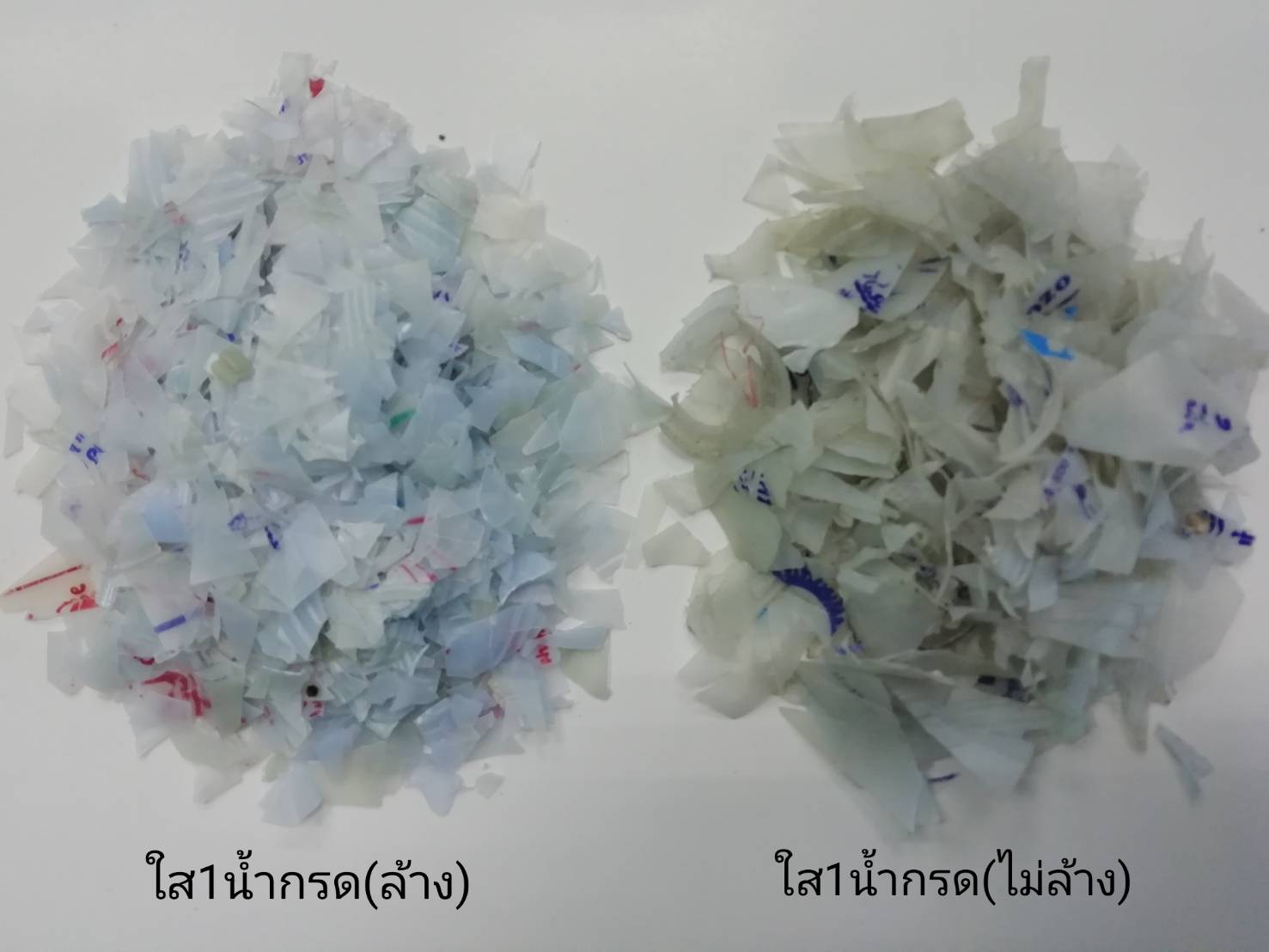 เกล็ดโม่ เป่าใส1
