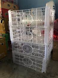 ตระกร้าผลไม้